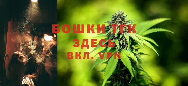 ПСИЛОЦИБИНОВЫЕ ГРИБЫ Приозерск