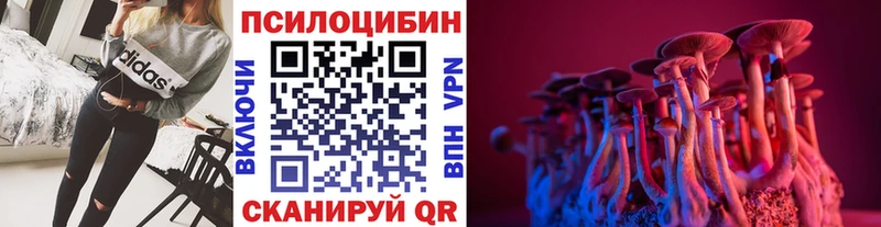 omg tor  Сосновый Бор  Псилоцибиновые грибы Magic Shrooms  наркошоп 